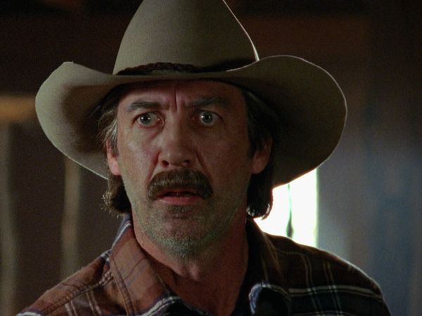 Heartland - ¡Deslumbrado!