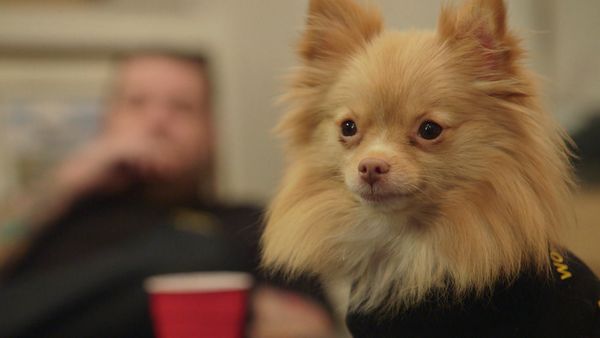 Pawn Stars - Episode 2004