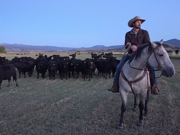 The Wonder List With Bill Weir - Colorado River: A Thirst For More