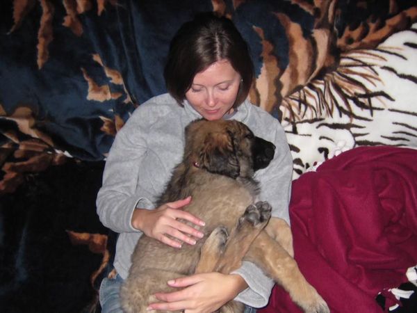 Dog Whisperer with Cesar Millan - Gotti's Honor
