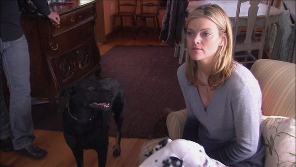 Dog Whisperer with Cesar Millan - Grizzly Dogs