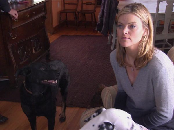 Dog Whisperer with Cesar Millan - Grizzly Dogs