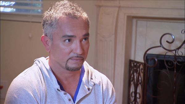 Dog Whisperer with Cesar Millan - Shadow Dogs