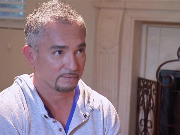 Dog Whisperer with Cesar Millan - Shadow Dogs