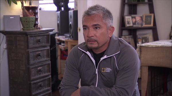 Dog Whisperer with Cesar Millan - Not-So-Sweet Snickers