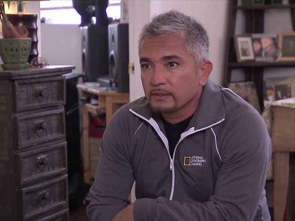 Dog Whisperer with Cesar Millan - Not-So-Sweet Snickers