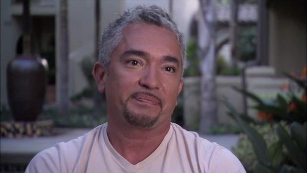 Dog Whisperer with Cesar Millan - Beach Blues