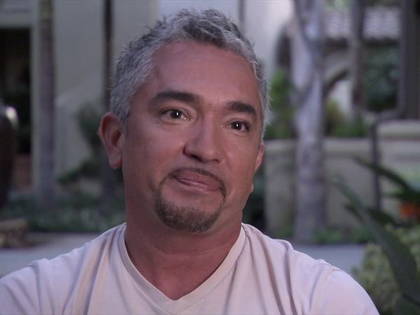 Dog Whisperer with Cesar Millan - Beach Blues