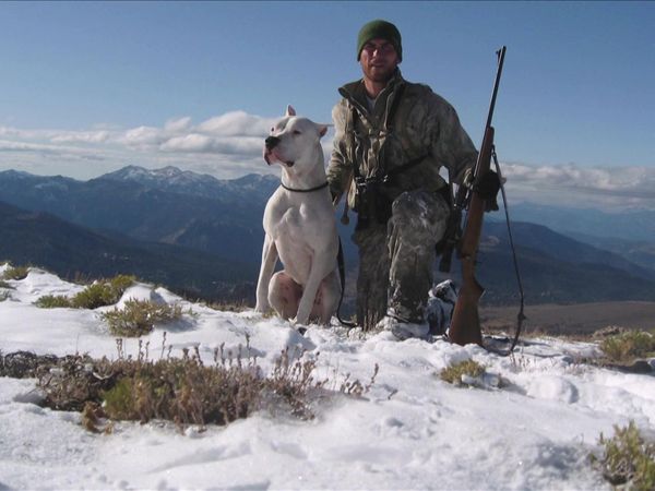 Dog Whisperer with Cesar Millan - Warrior Dog