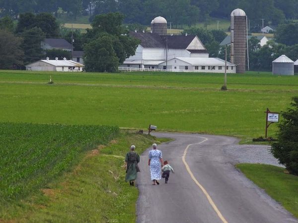 Fatal Crimes - The Sins of the Amish