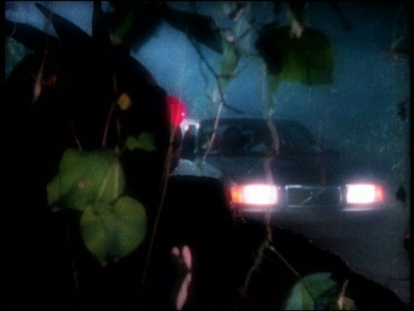 Unsolved Mysteries with Dennis Farina - Episode: 3