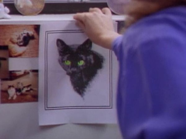 Ungelöste Geheimnisse: Original Robert Stack-Folgen - Folge 17