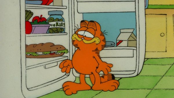 Garfield & Friends - Pros and Cons/Rooster Revenge/Lights! Camera! Garfield!