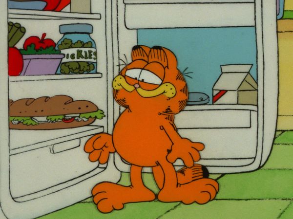 Garfield & Friends - Pros and Cons/Rooster Revenge/Lights! Camera! Garfield!