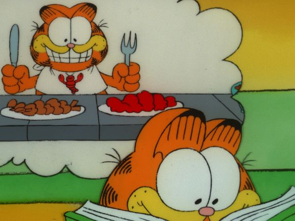 Garfield & Friends - Maine Couse/First Aid Wade/Video Victim