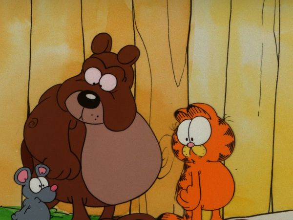 Garfield & Friends - Identity Crisis/U.S. Acres: The Bad Sport/Up a Tree
