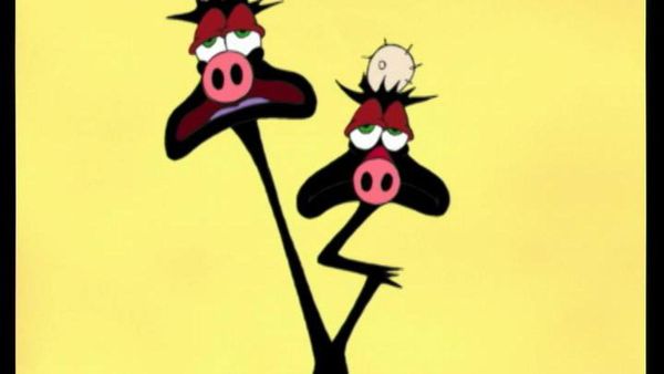 Les Zinzins de l'Espace - Le porc de l'angoisse
