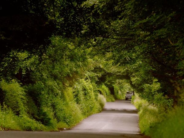 Rivers With Jeremy Paxman - The Tweed