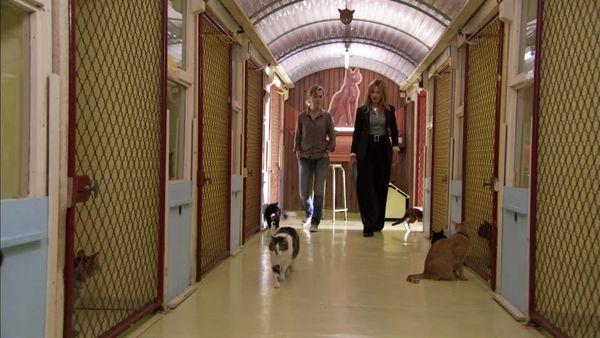 Alice Nevers - Animali