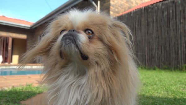 Dinner Date: South Africa - Episode 1