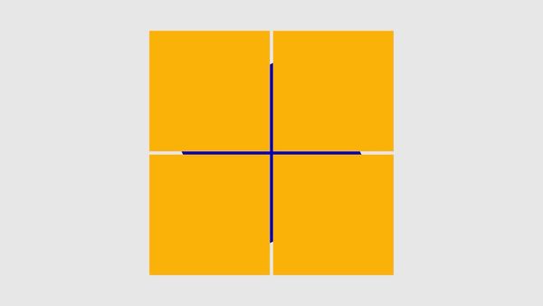 Illusions - Grouping