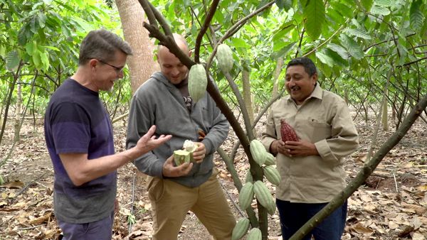 Mexico: One Plate at a Time with Rick Bayless - Chocolate Dreams, Cacao Fantasies