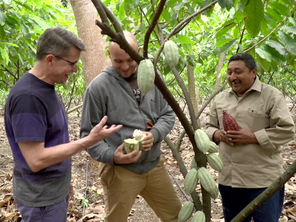 Mexico: One Plate at a Time with Rick Bayless - Chocolate Dreams, Cacao Fantasies