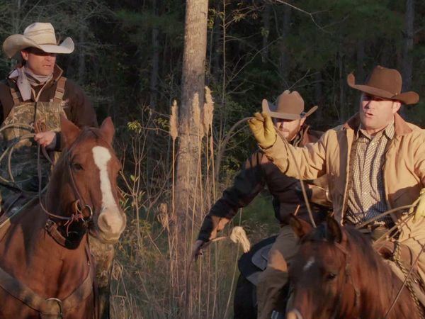 The Cowboy Way: Alabama - Horse of a Different Color