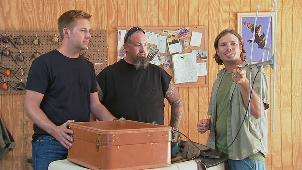 Auction Hunters - Ton-Geons & Dragons