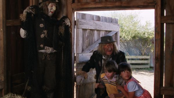 Worzel Gummidge Down Under - Balbous Cauliflower