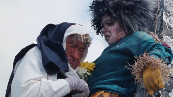 Worzel Gummidge Down Under - Wattle Hearthbrush