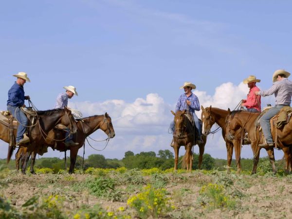 The Cowboy Way: Alabama - The Fall of Booger