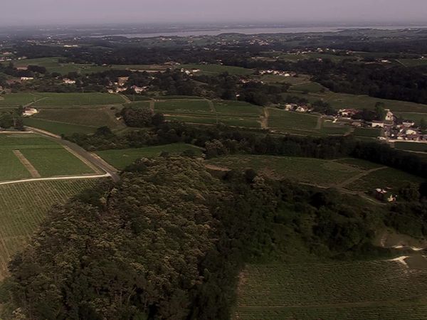 Section De Recherches - Il prezzo del successo