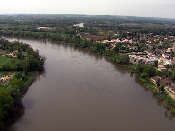 Section De Recherches - Matador