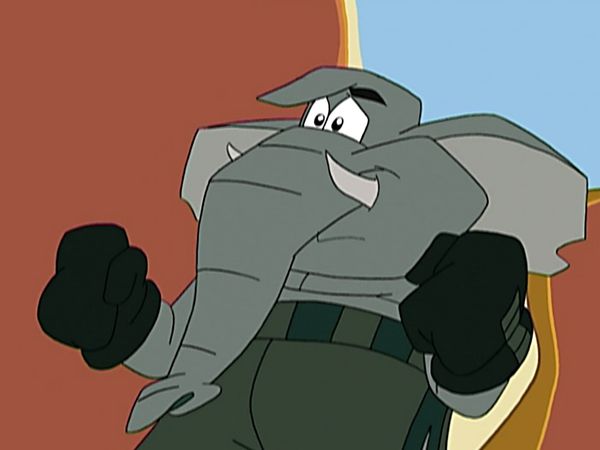 Animaladas - El elefante