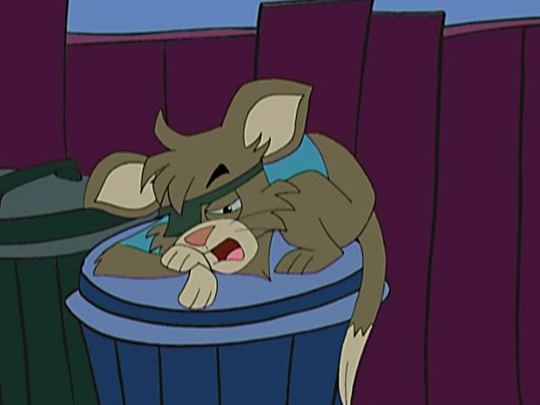 Animaladas - El gato