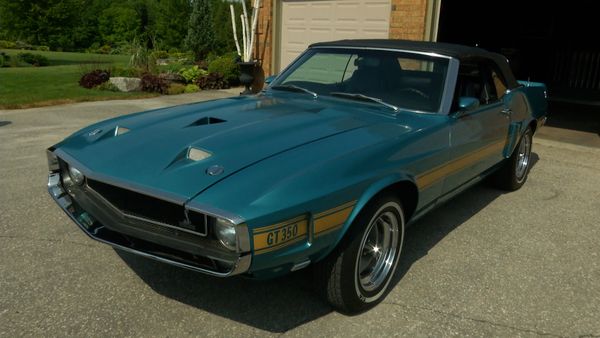 Legendary Motorcar - Head to Head GT-350s
