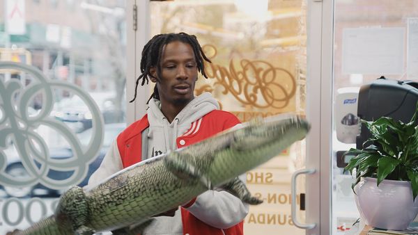 Black Ink Crew - Black Ink & Harlem Are Like PB&J