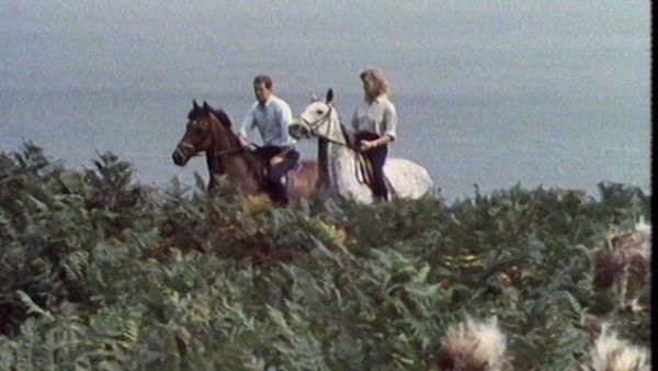 Bergerac - Das andere Pferd