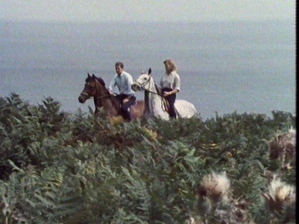 Bergerac - Das andere Pferd