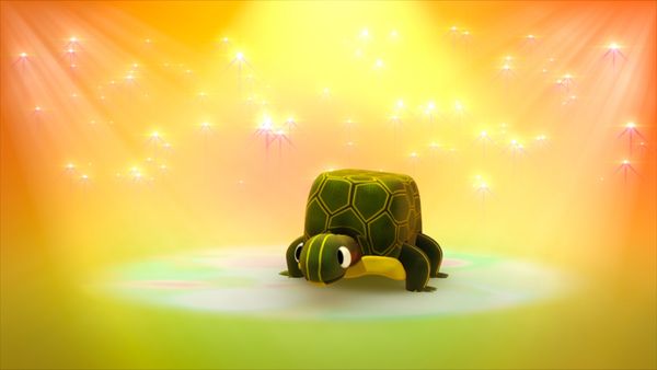 Zoobabu - Tortuga