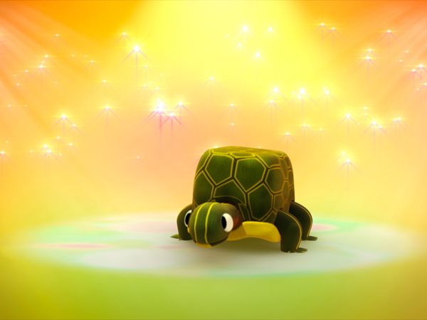 Zoobabu - Tortuga