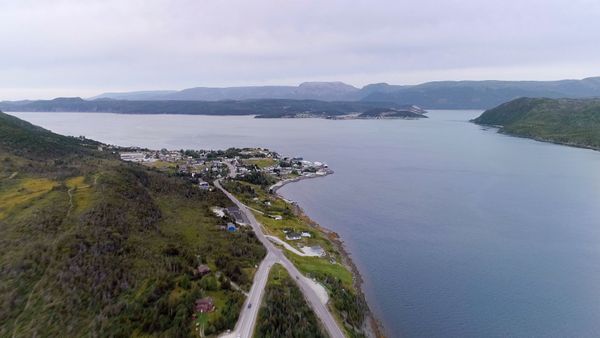 Still Standing - Woody Point