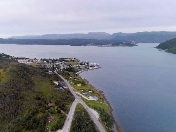 Still Standing - Woody Point