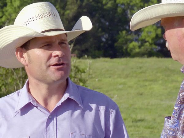 The Cowboy Way: Alabama - Friends or Foes?