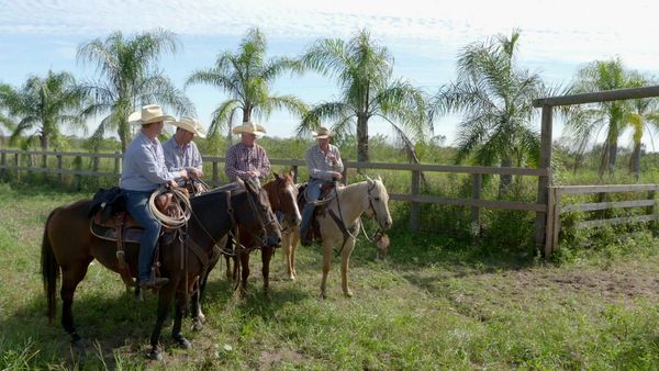 The Cowboy Way: Alabama - Trigger Happy