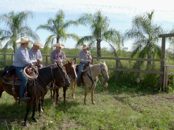 The Cowboy Way: Alabama - Trigger Happy