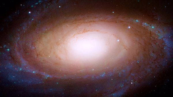 Cosmic Vistas - Grand Design