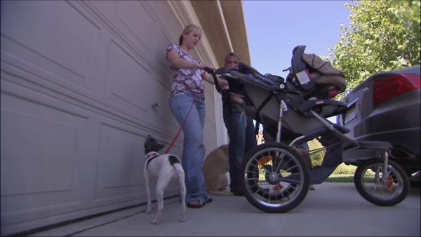 Dog Whisperer with Cesar Millan - Scared Straight