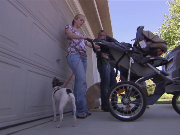 Dog Whisperer with Cesar Millan - Scared Straight